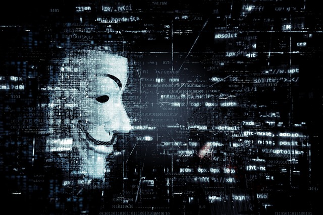 anonymní hacktivista