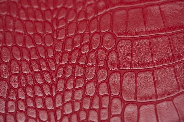 Struktura krokodýlí kůže v červené barvě