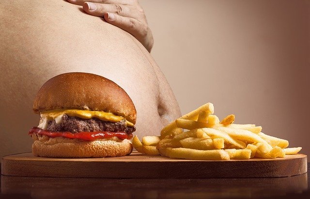tlustý, břicho, hamburger, hranolky